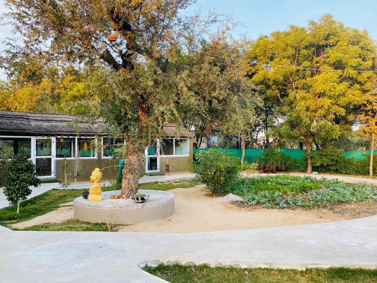 Desert Nights Mandāwa Exterior foto